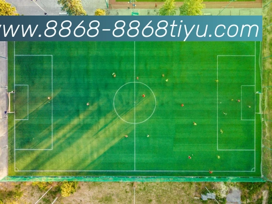 8868体育APP 封面图